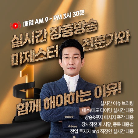 마제스터 전문가